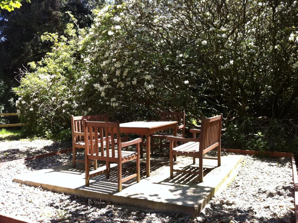 Hotel Ashton House Avoca Exterior foto
