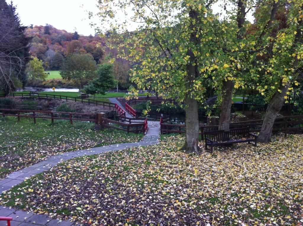 Hotel Ashton House Avoca Exterior foto