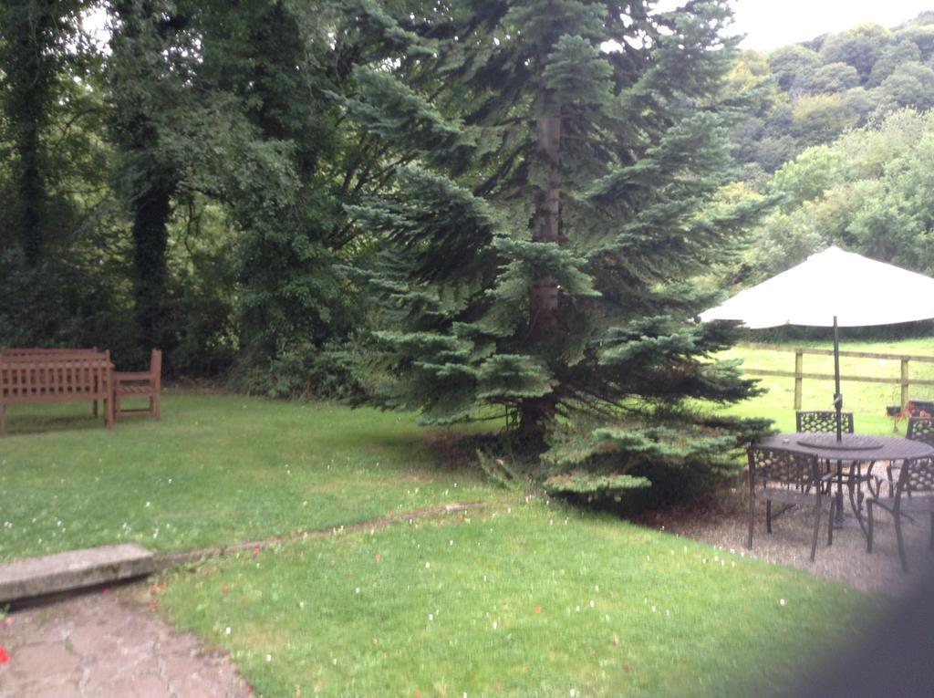 Hotel Ashton House Avoca Exterior foto