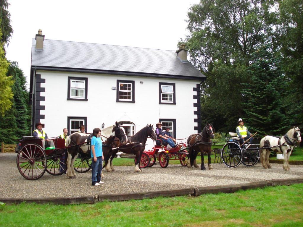 Hotel Ashton House Avoca Exterior foto