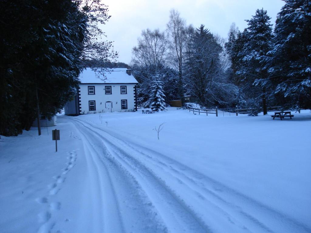 Hotel Ashton House Avoca Exterior foto
