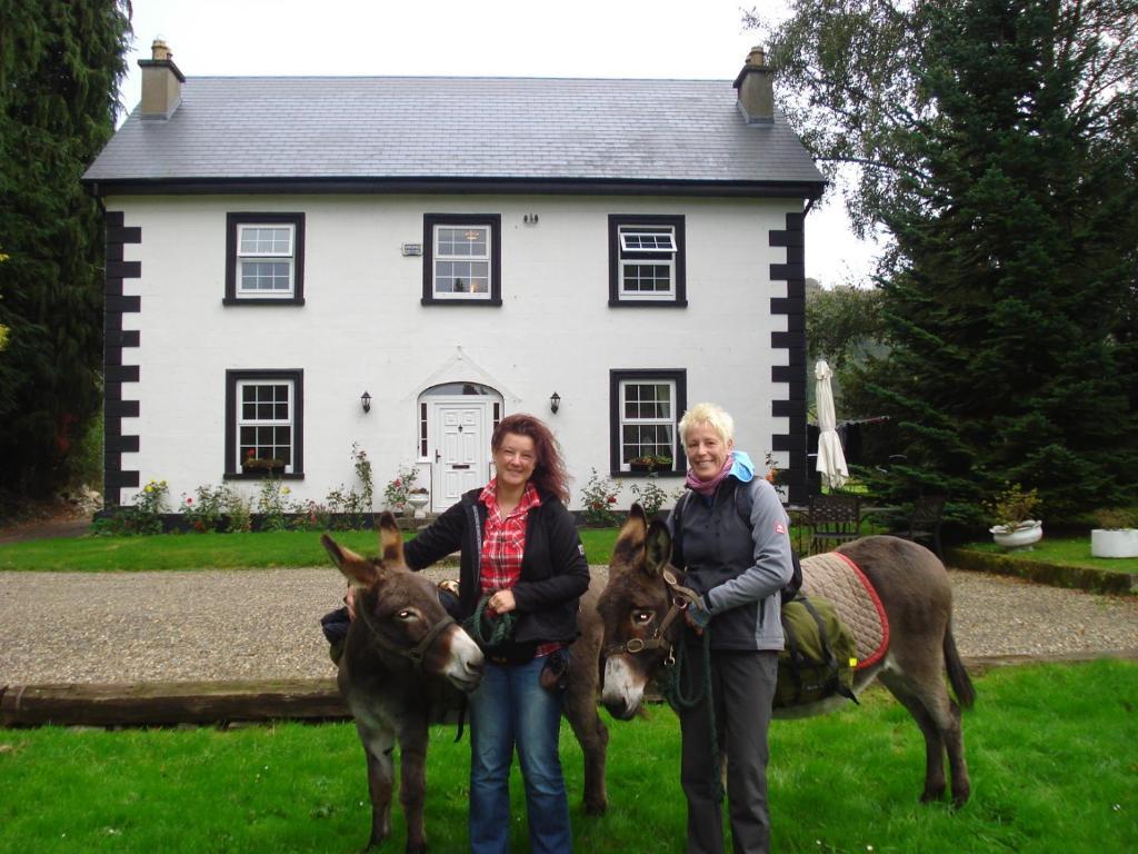 Hotel Ashton House Avoca Exterior foto