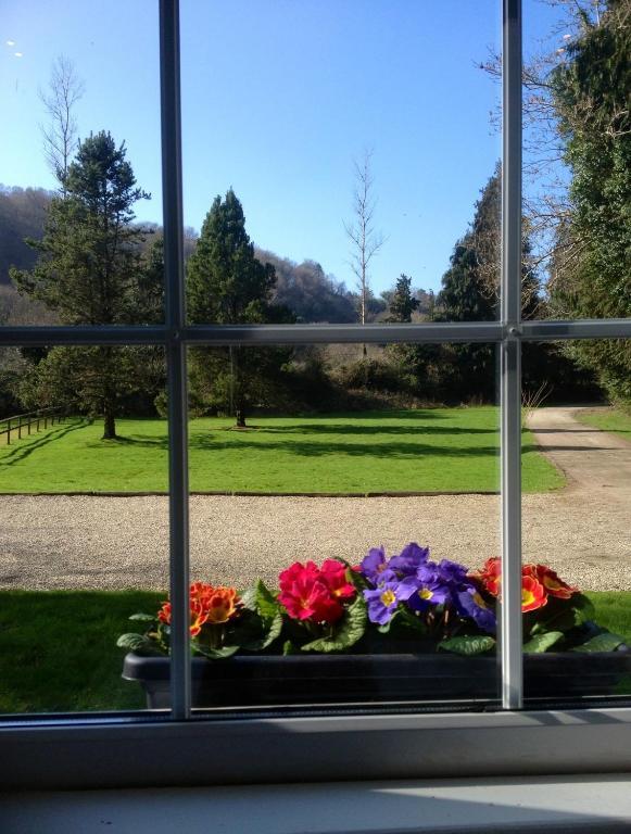 Hotel Ashton House Avoca Exterior foto